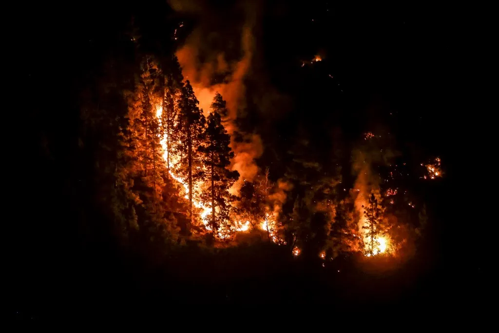 What to do and what to avoid if you see a wildfire in Spain