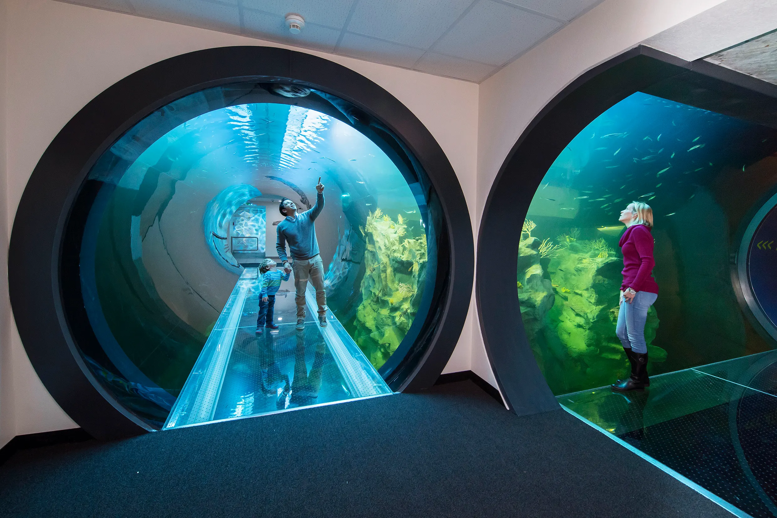 Inside Austria: where to go in Vienna with kids when it’s too cold to be outside