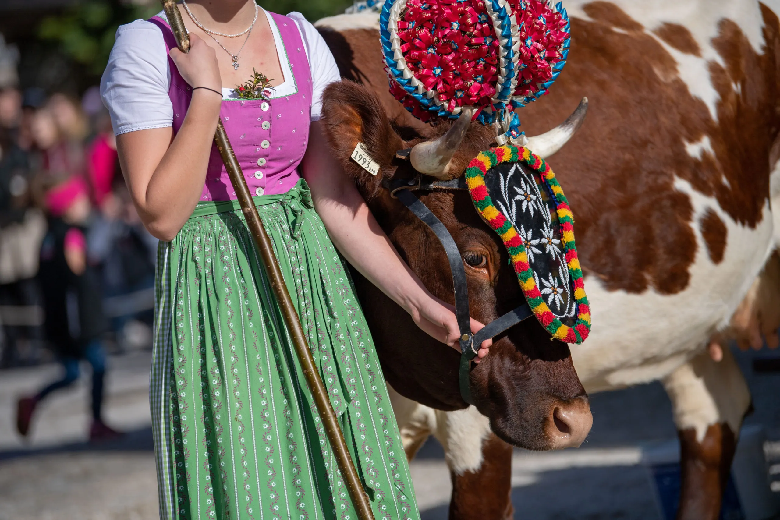 Thrifty Swabians and haughty Hamburgers: A guide to Germany’s regional stereotypes