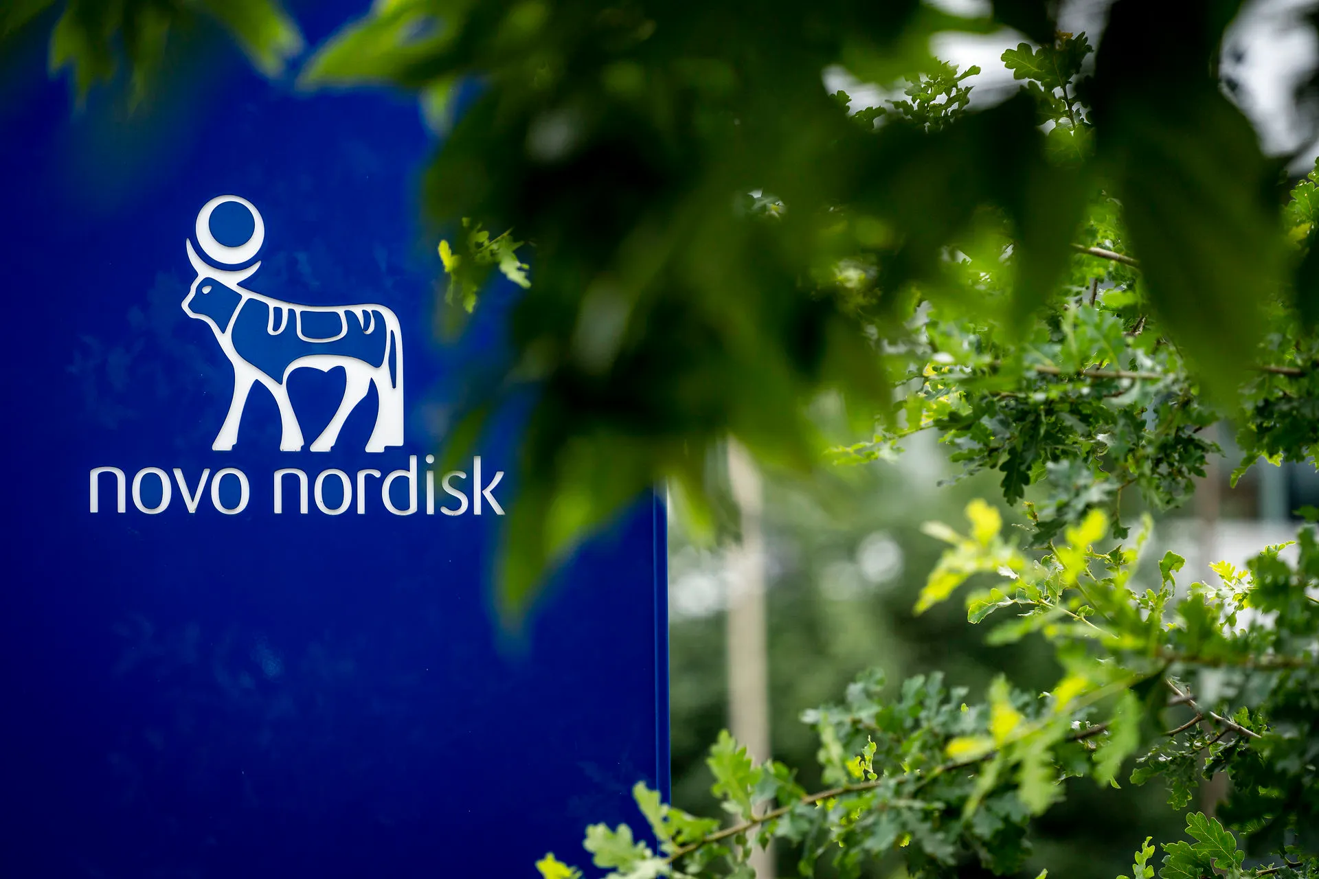 Today in Denmark: A roundup of the latest news on Wednesday