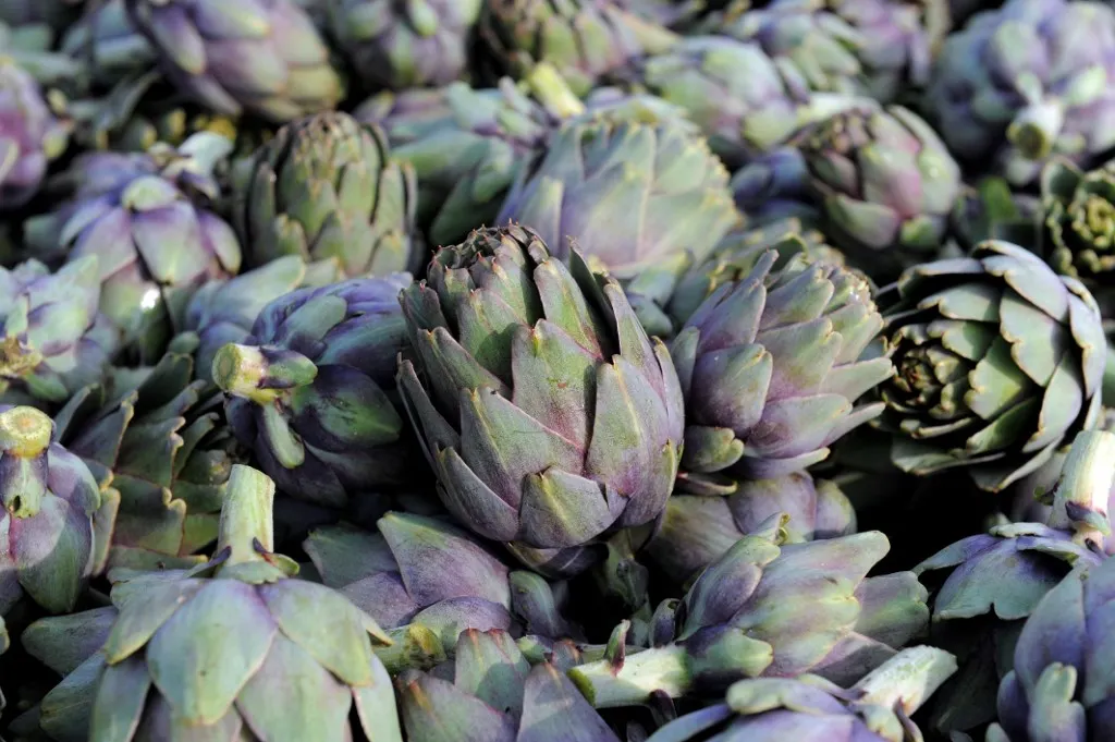 On the Agenda: What’s happening in Italy this week