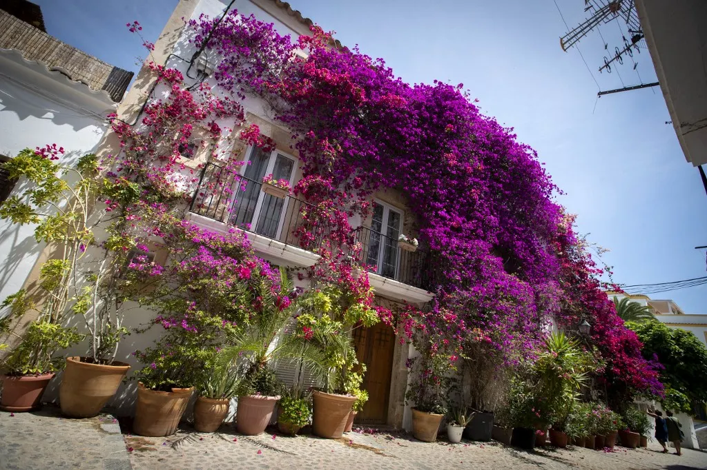Ten ways to protect your Spanish property against the summer heat