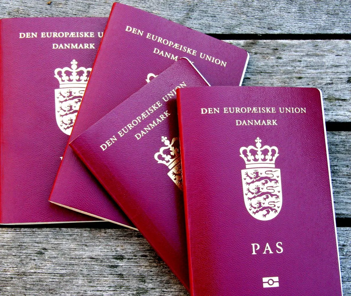 Why a new Danish government does not mean a restart to citizenship processing