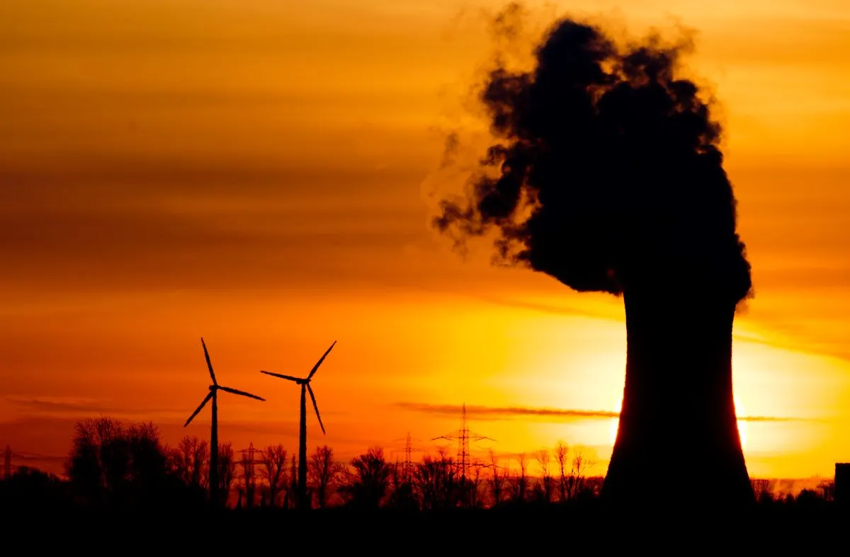 German government wants to cut renewable energy subsidies