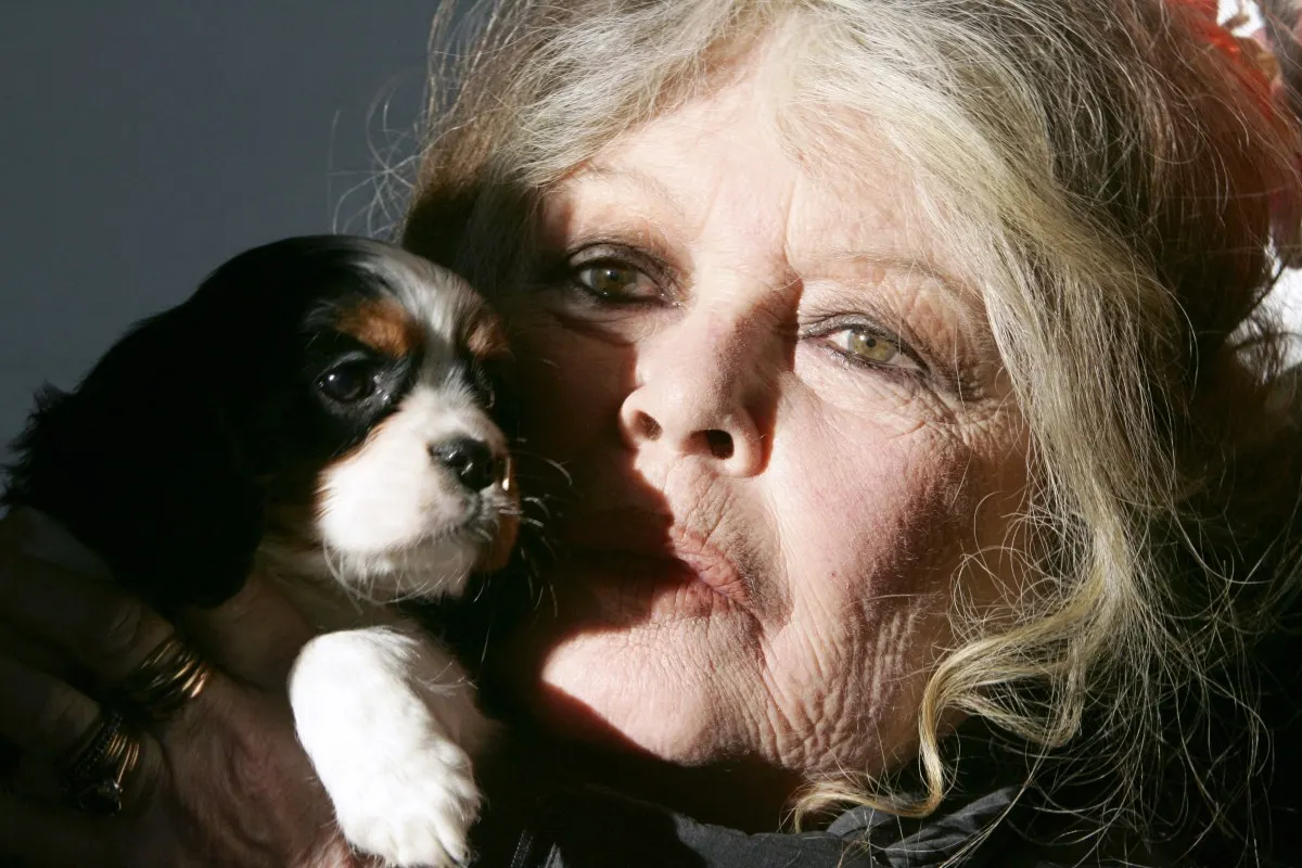 French 'legend' Brigitte Bardot dead at 91