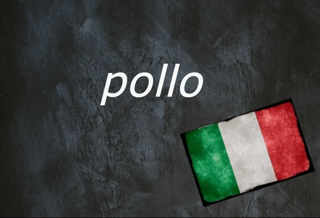 Italian word of the day: ‘Pollo’