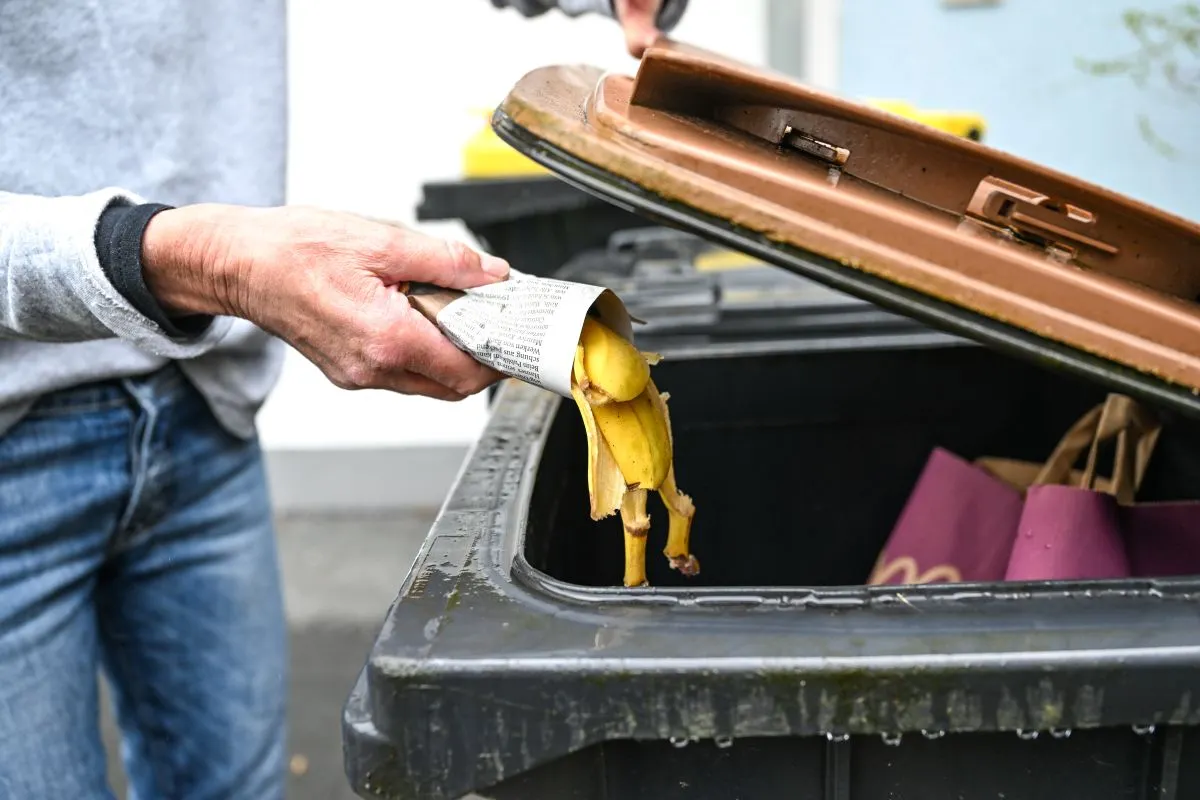 How some German cities plan to crack down on biowaste violations