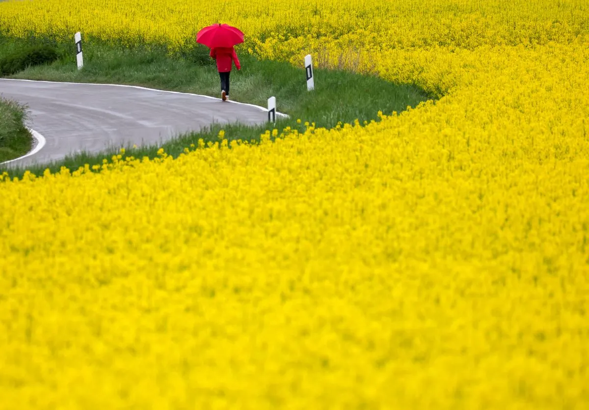 Inside Germany: A rocky start for the new government and the ‘unfriendliest’ cities