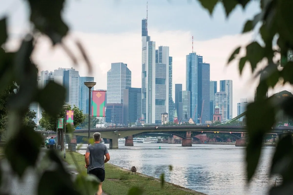 Why does Germany issue by far the most EU Blue Cards to skilled workers?
