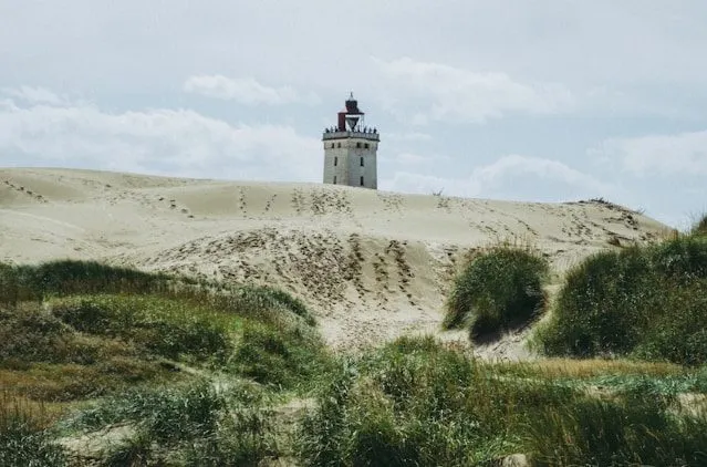 TELL US: What is your ultimate Danish summer holiday activity?