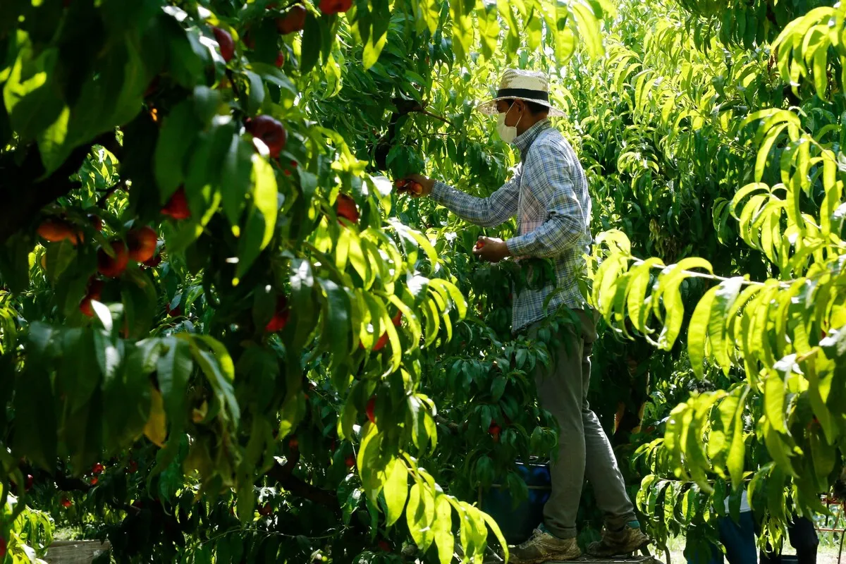 Immigrants in Spain earn a third less than local workers