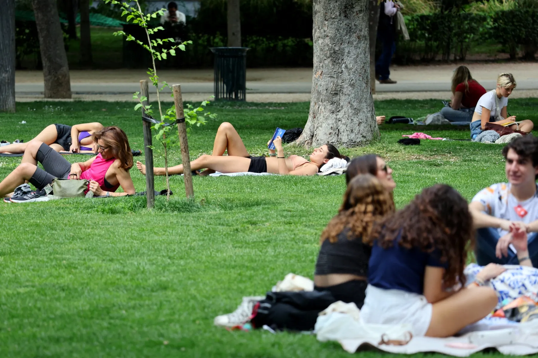 Inside Spain: Madrid's closed parks and the new motorway toll plan