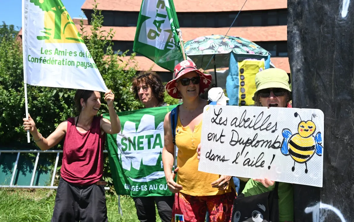 Bid to bring back pesticide in France sparks unprecedented petition