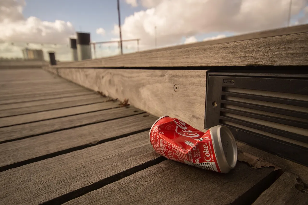 How much you'll be fined for dropping litter in Switzerland in future