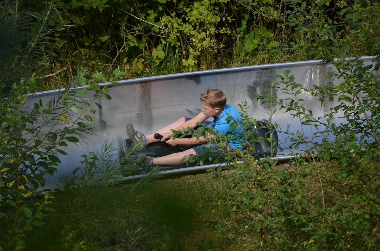 '130 accidents per year': Are Switzerland's Alpine summer luge runs safe?