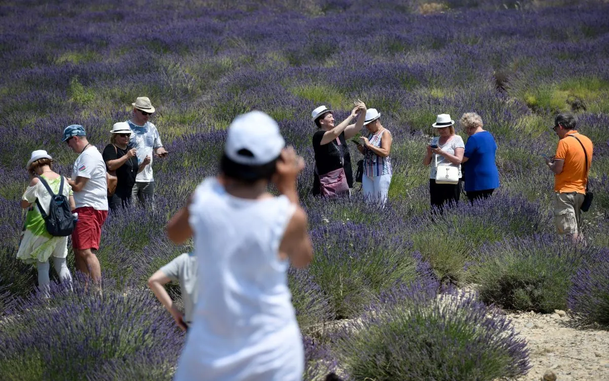 'Please visit mid-week': Spanish village overwhelmed by lavender tourists