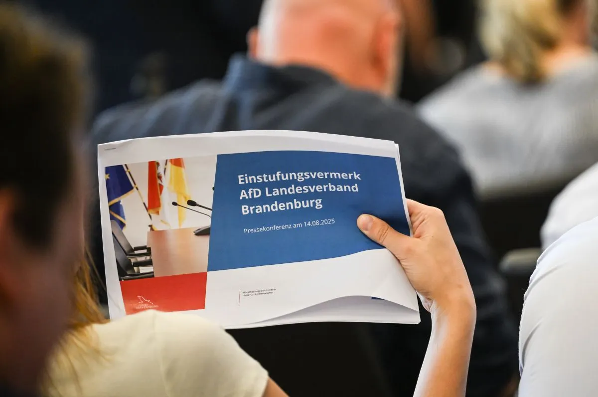 ‘Discrimination and exclusion’: AfD in Brandenburg confirmed as far-right extremist