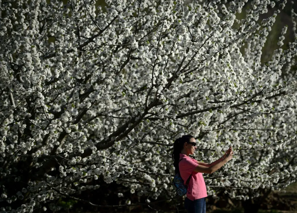Americans swap usual tourism hubs in Spain for 'unknown' Extremadura