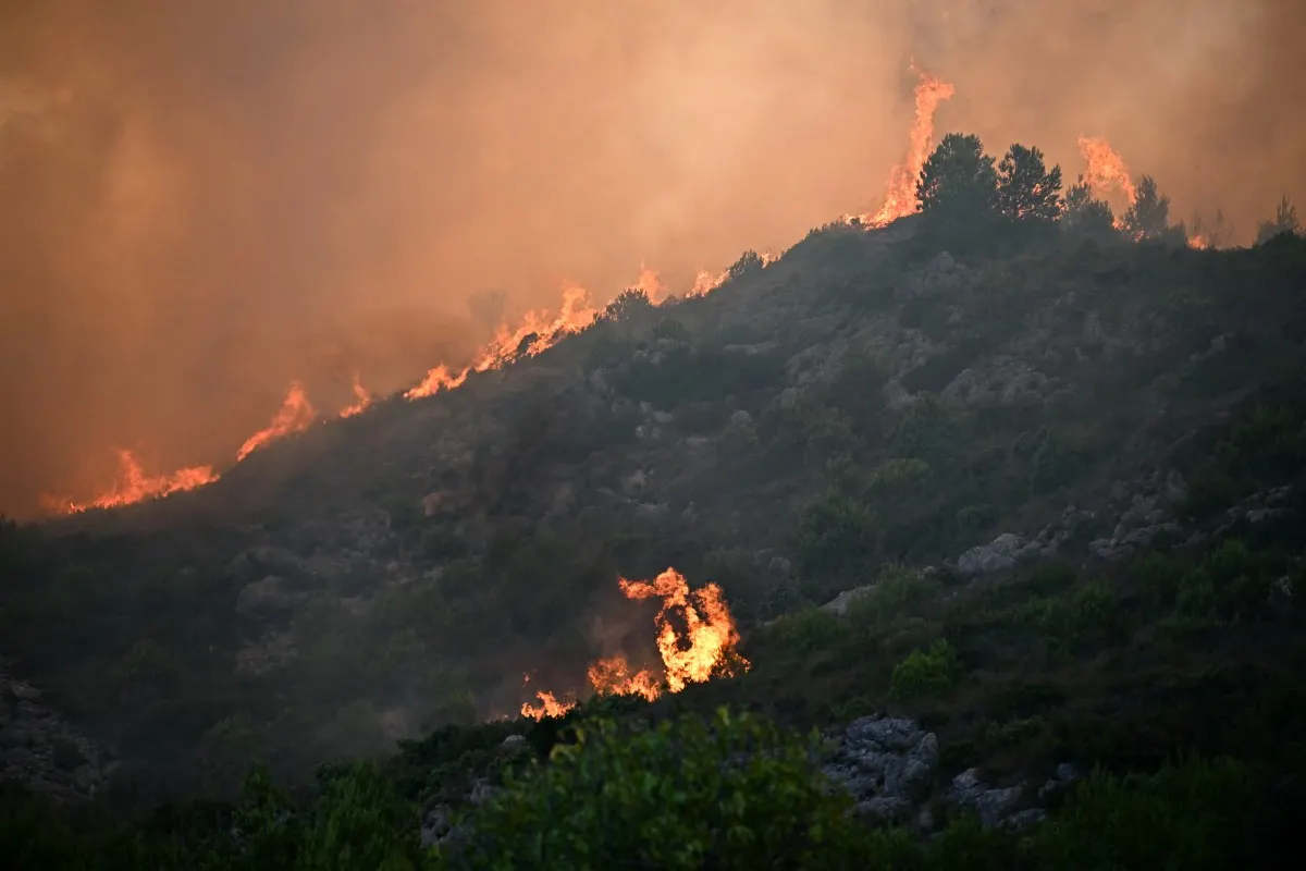 IN PICTURES: Massive wildfire burns through southern France