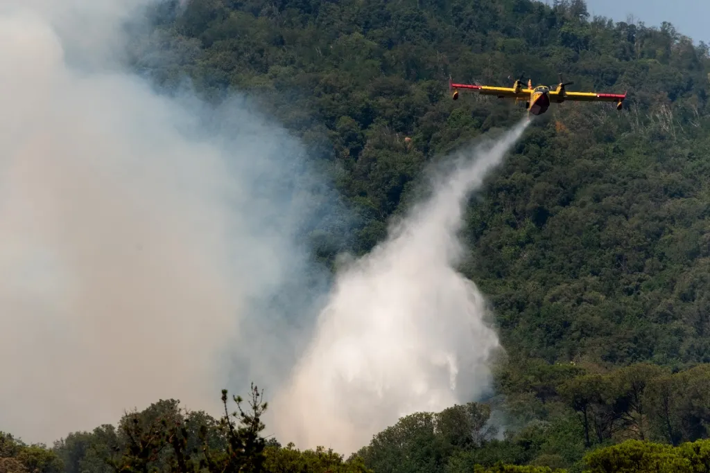 What to do and what to avoid if you see a wildfire in Italy