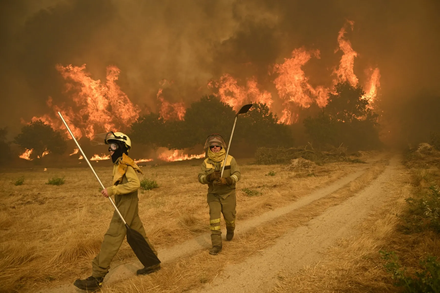 Spain's 2025 wildfires confirmed as most destructive in country's history