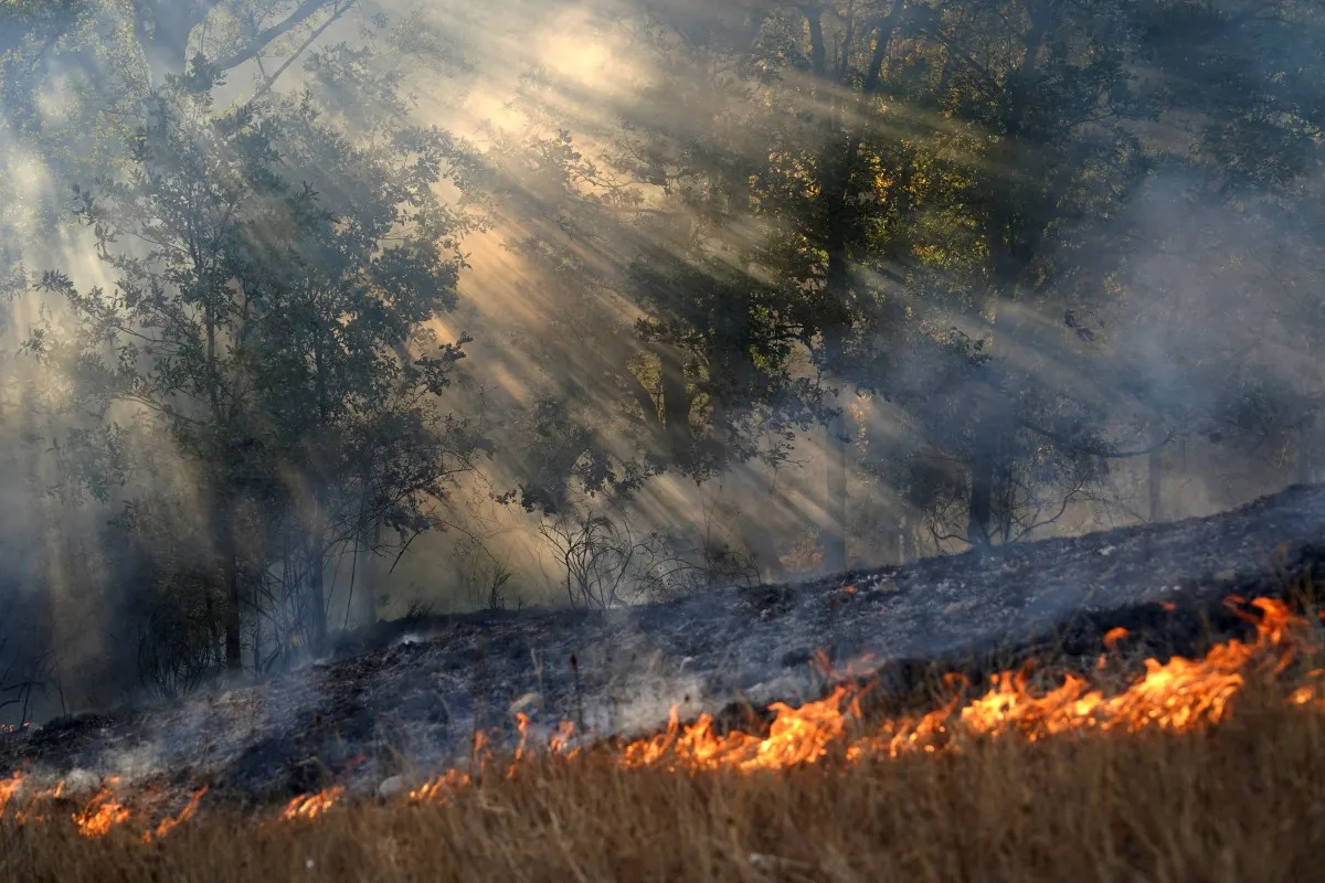 Spain declares wildfire-hit areas disaster zones