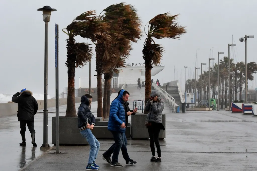 Trees torn in half in Valencia as Spanish region hit by wet downburst