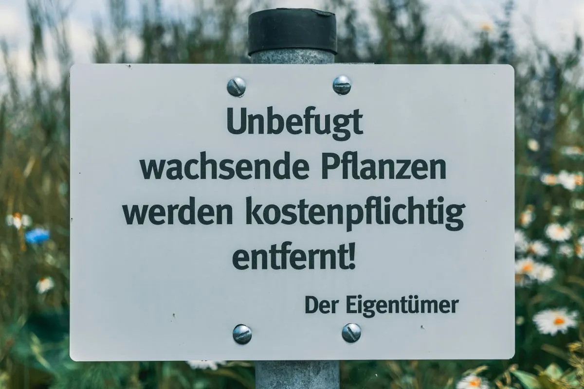 ‘Dry and apologetic’: What foreigners really think of German humour