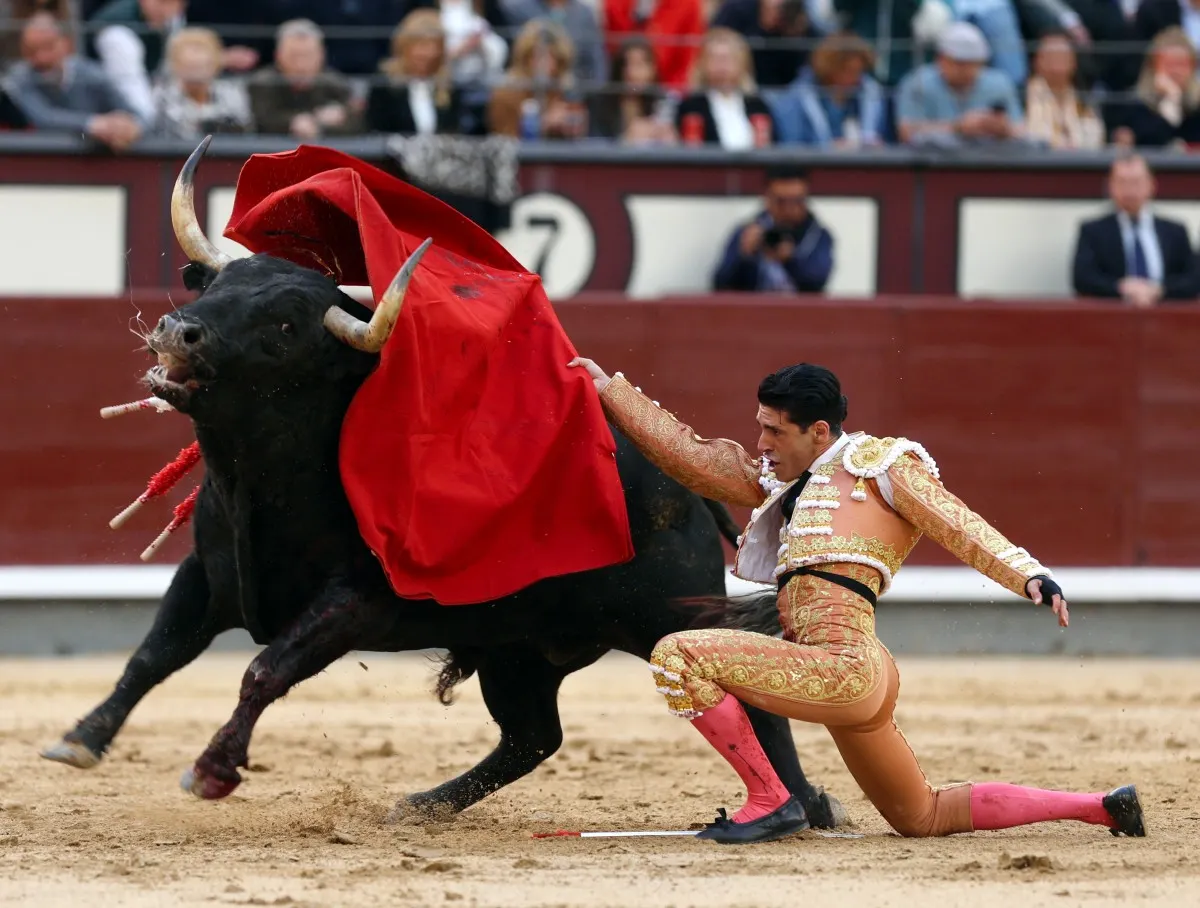 Inside Spain: Don't expect bullfighting to be banned anytime soon