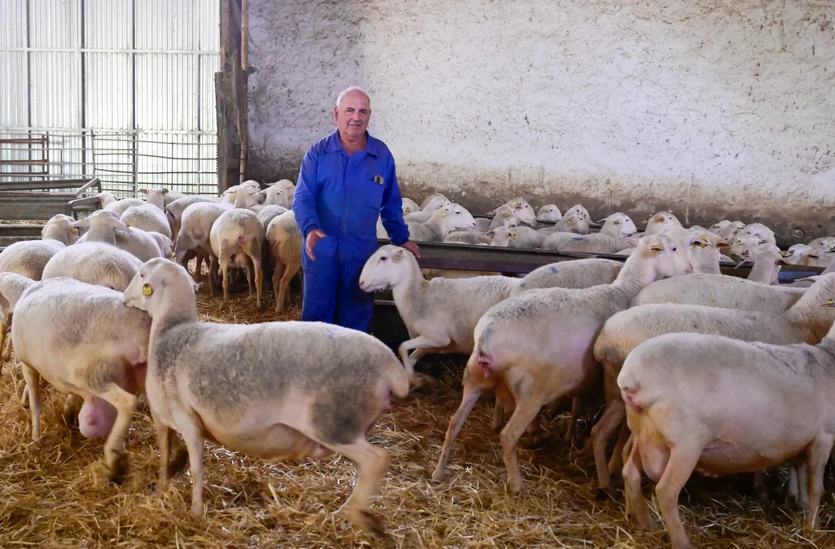 'Only party helping us': How far-right Vox is charming rural Spain