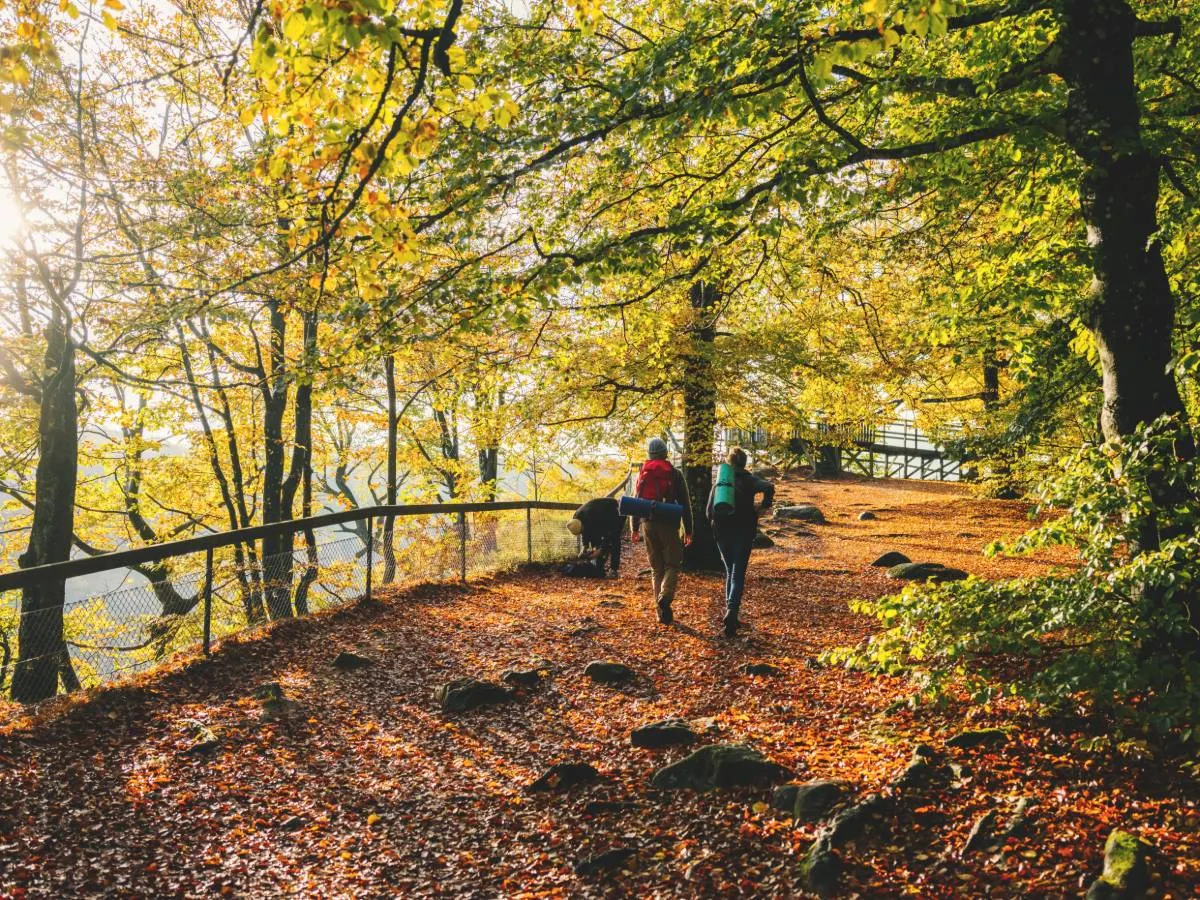 The best places in Sweden to see the autumn leaves