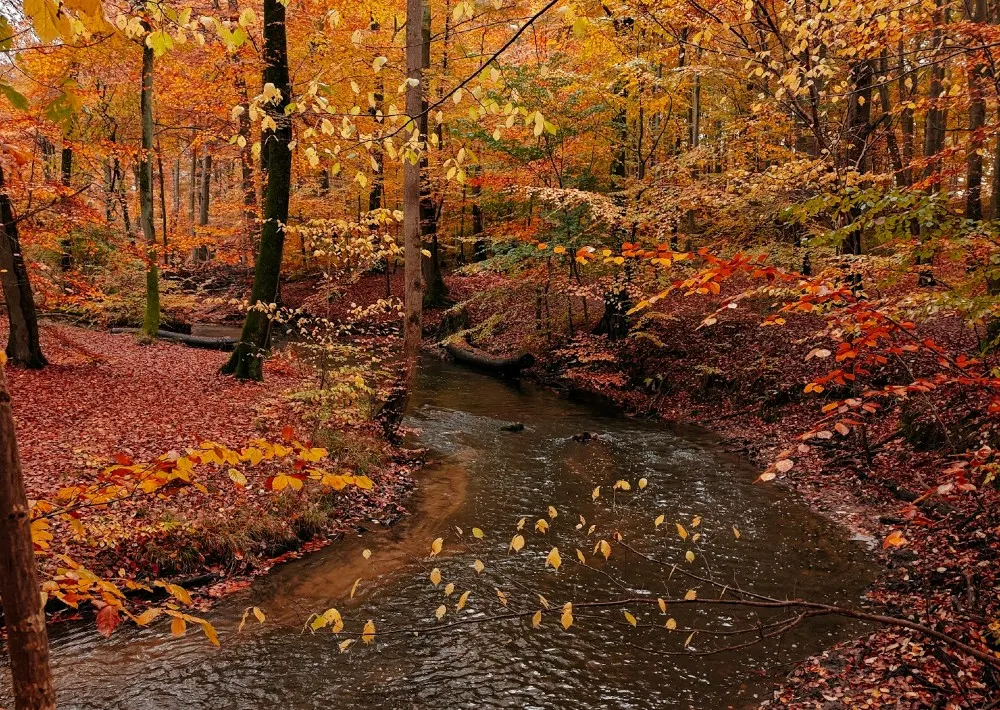 Today in Denmark: A roundup of the news on Tuesday