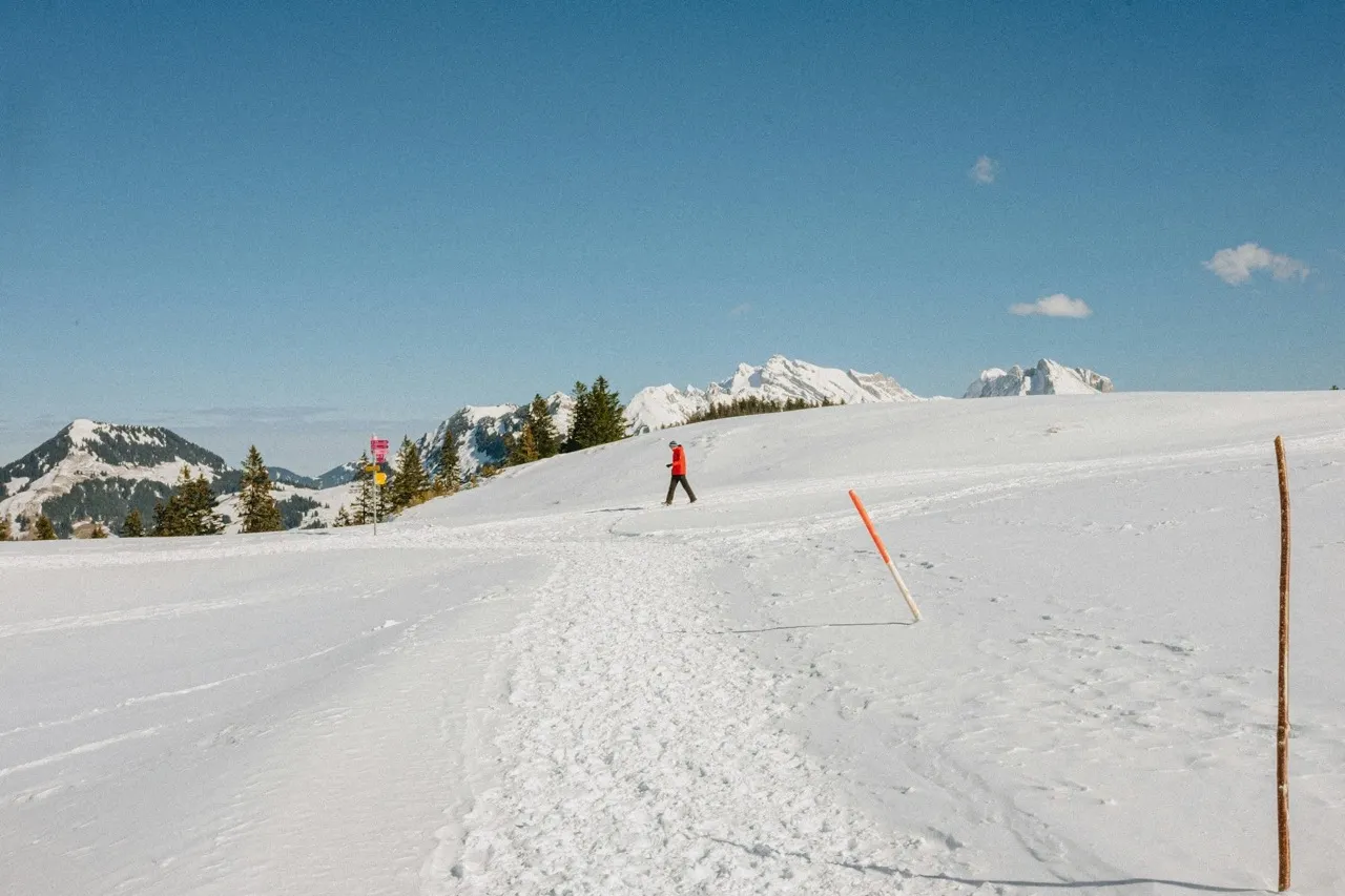 The best cross-country skiing spots near Vienna for a winter escape