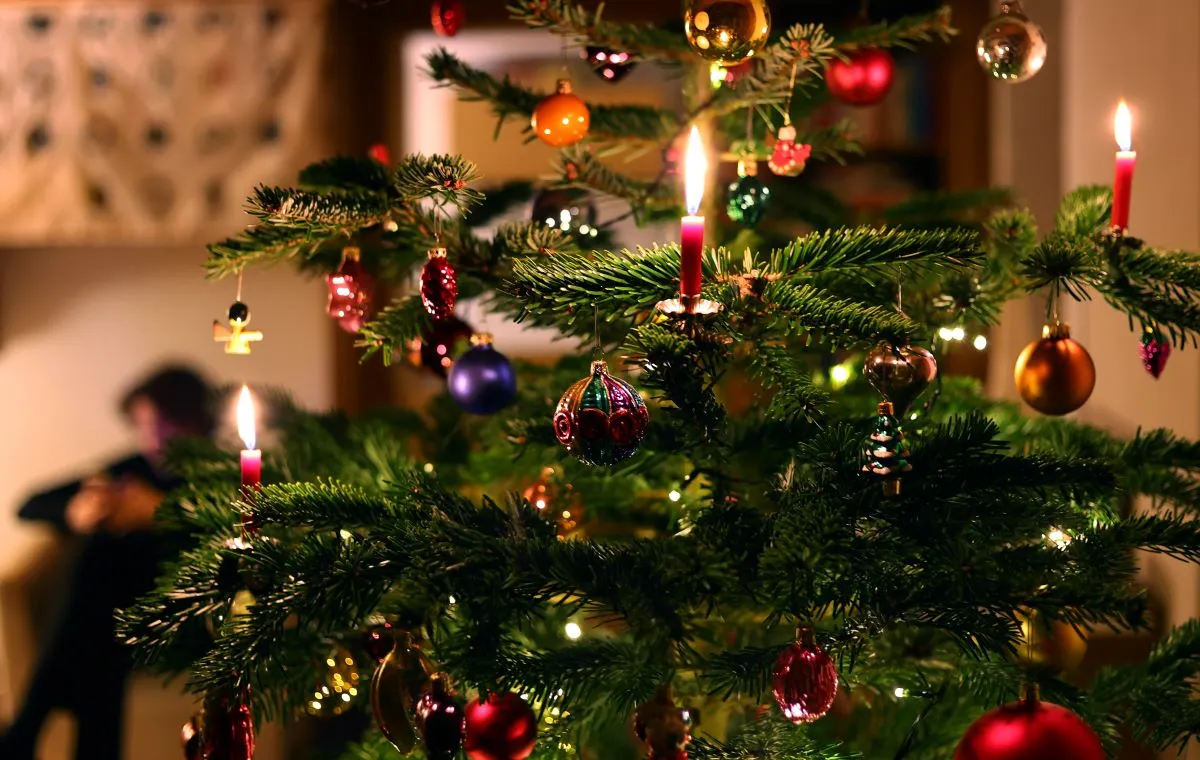 So you want to buy a Christmas tree in Germany?