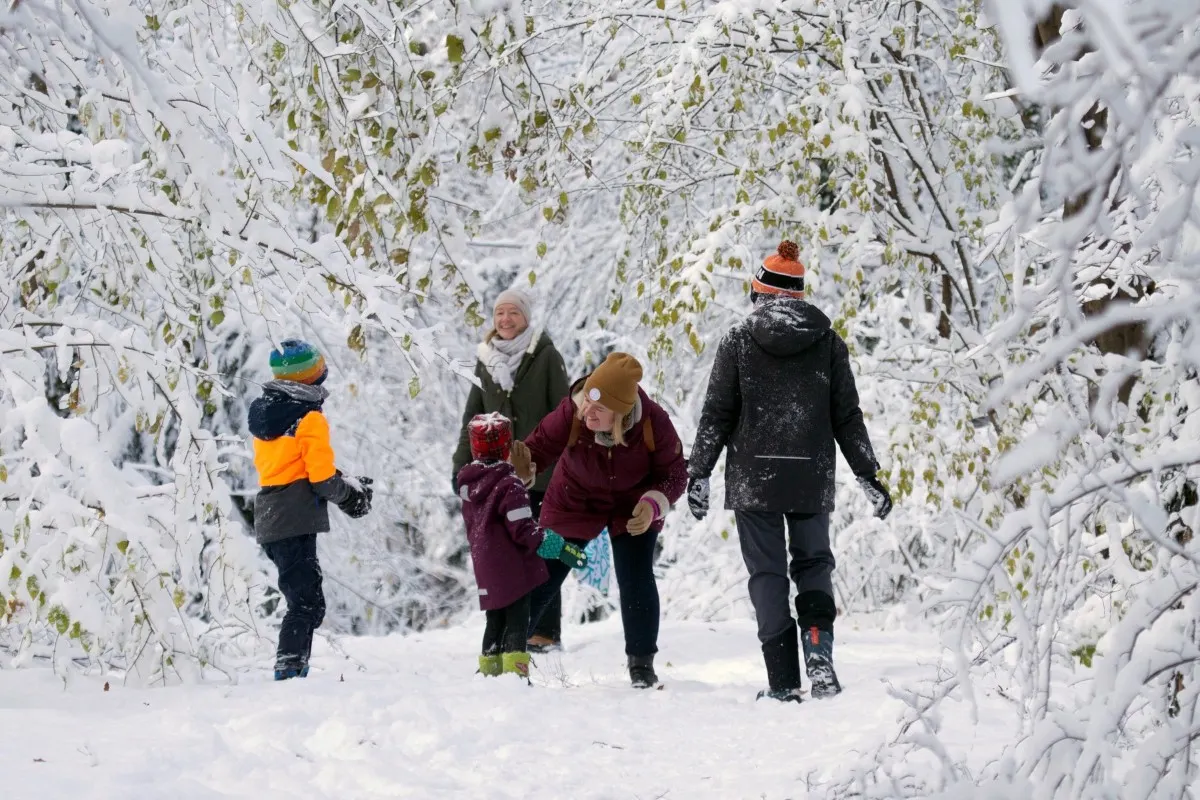 What changes for families in Austria in 2026?