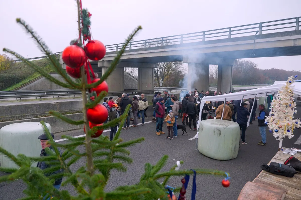 Фермеры Франции на баррикадах и Саркози на йогурте