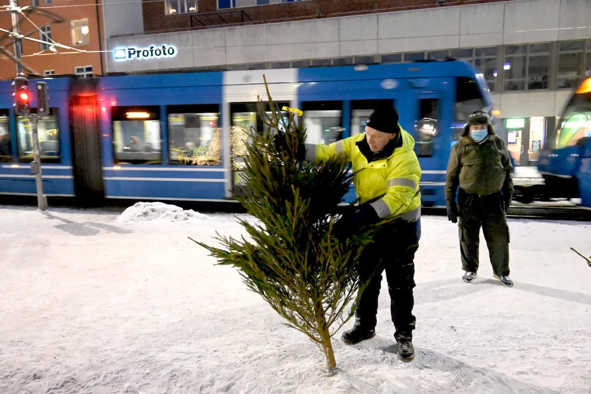 How and when do you buy a Christmas tree in Sweden?