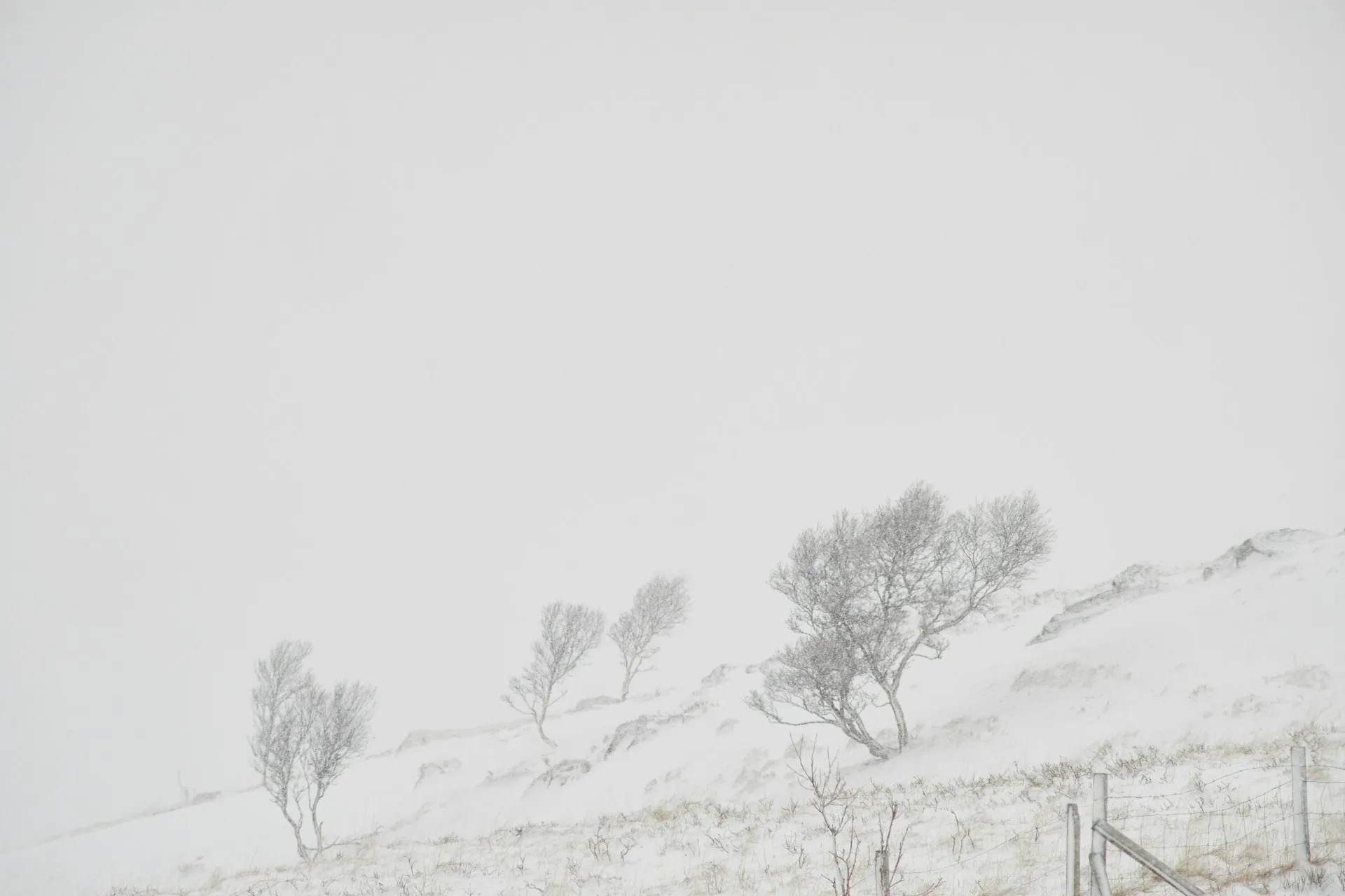 Sweden's death toll from storm rises to three