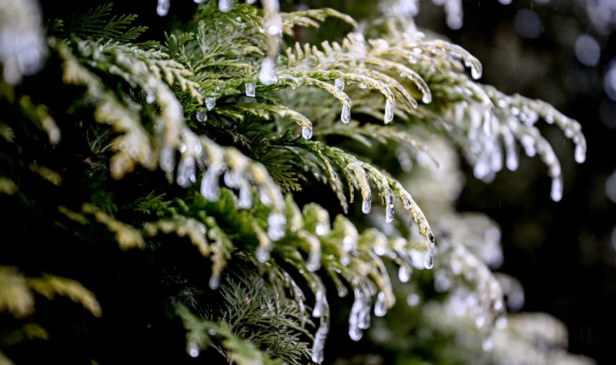 Inside Germany: The attack on work-life balance, de-icing issues and sweet living in the Ruhr