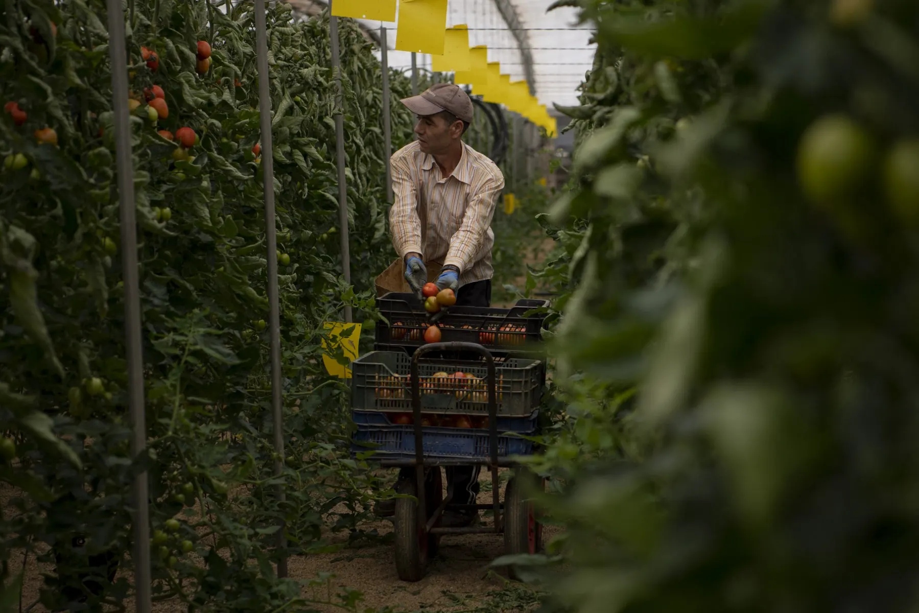 Spain hires 25 percent more seasonal workers