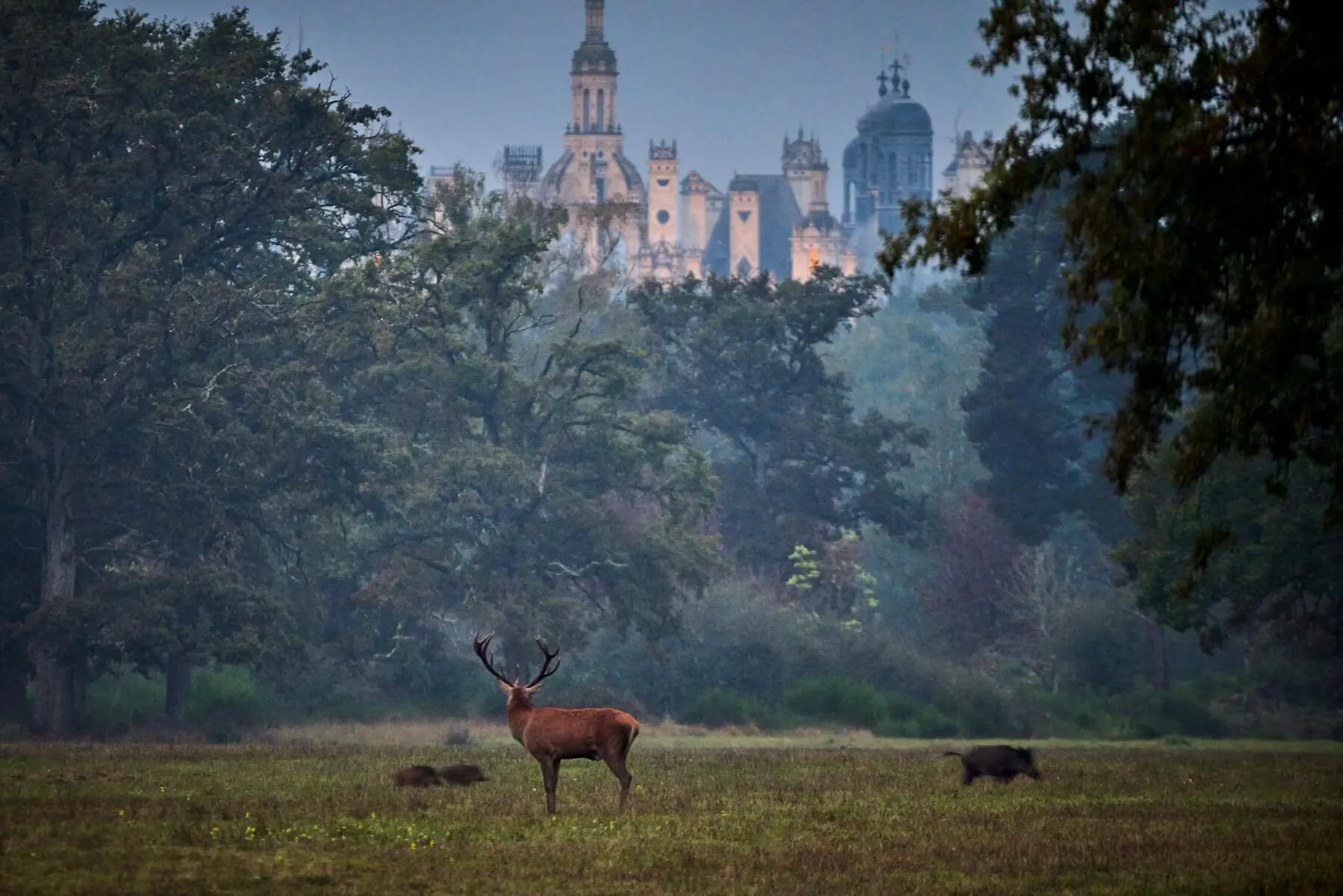 Explained: France's new museum prices for tourists and residents