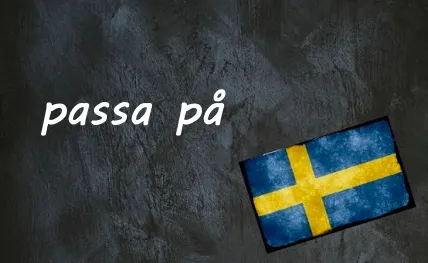 Swedish word of the day: passa på