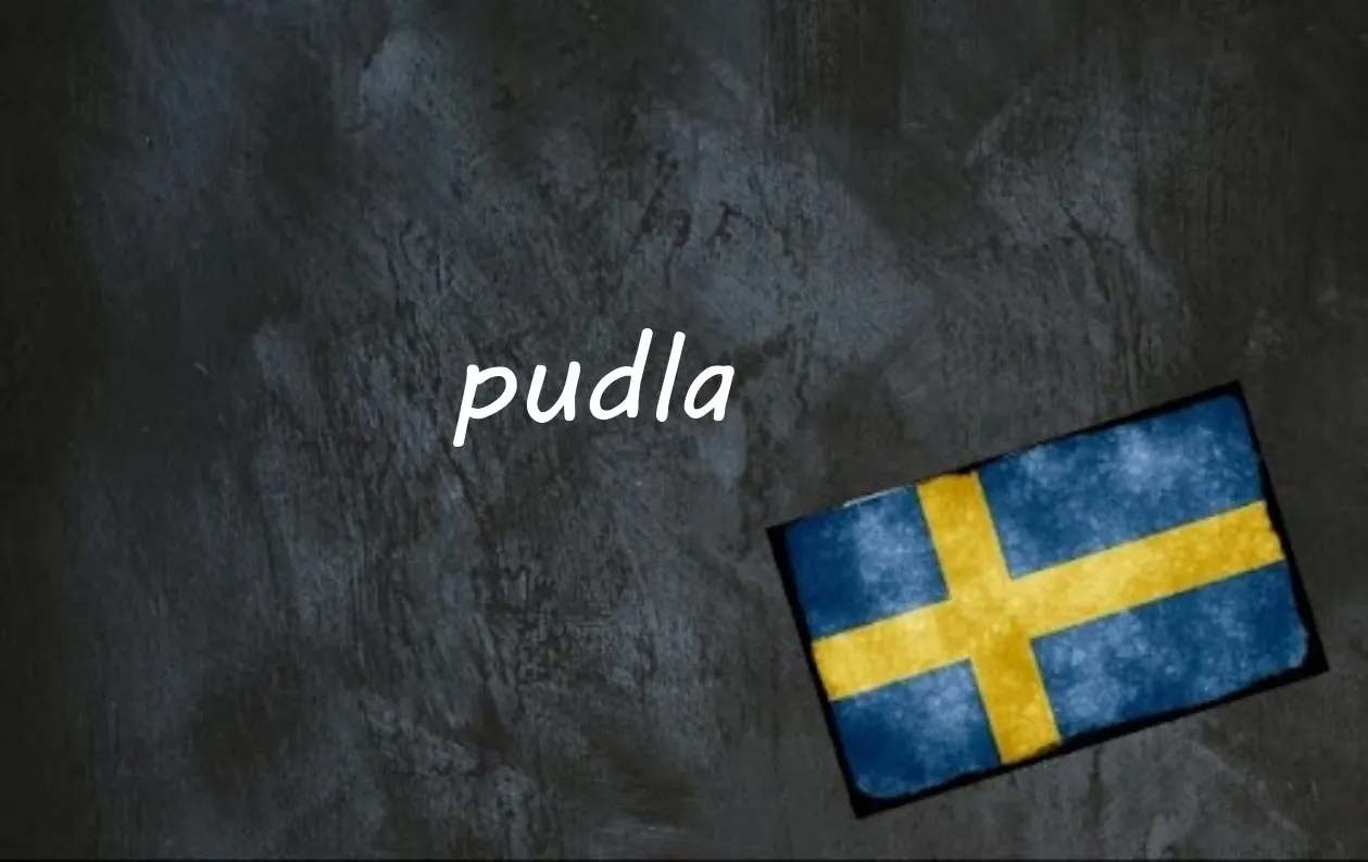 Swedish word of the day: pudla