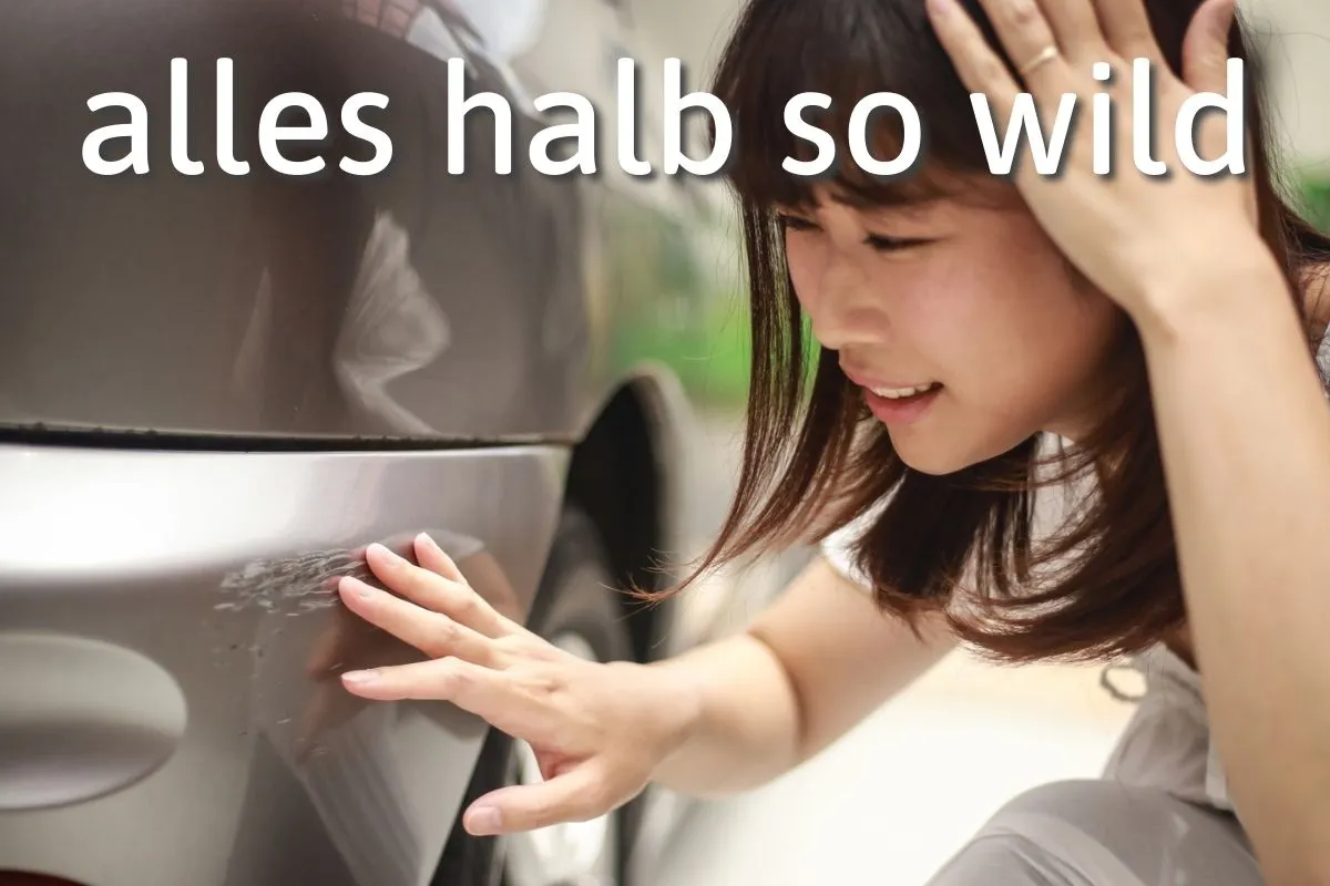 German Expression of the Day: Alles halb so wild