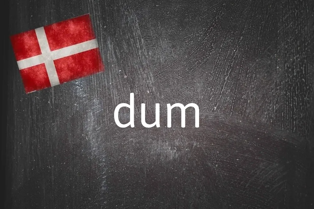 Danish word of the day: Dum