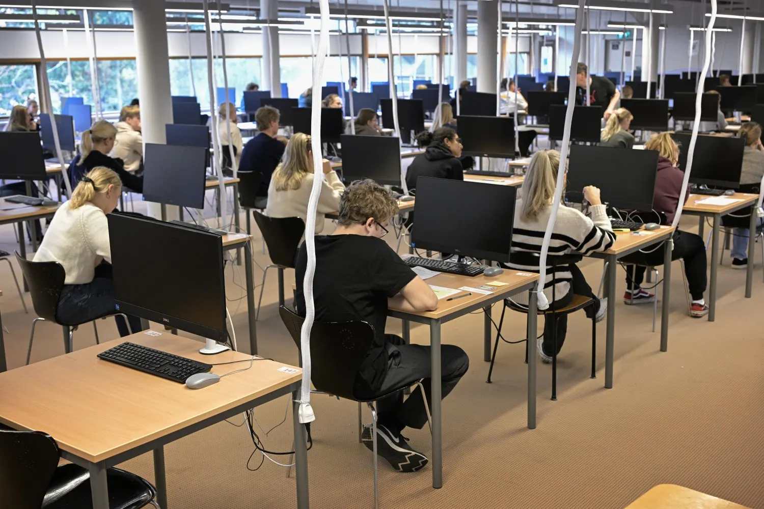 How can you show proof of Swedish and civics knowledge for citizenship?