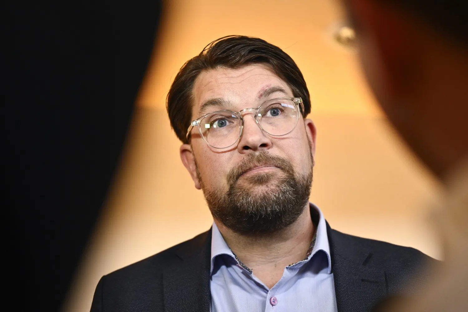Sweden Democrats open to delaying PR revocation law