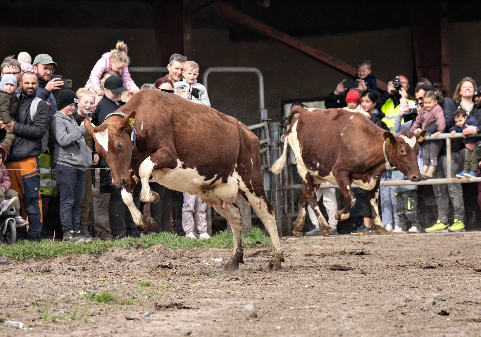 KEY POINTS: What changes about life in Denmark in April 2026