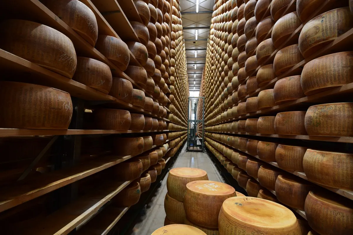 Parmesan makers target US market as sales drop in Italy