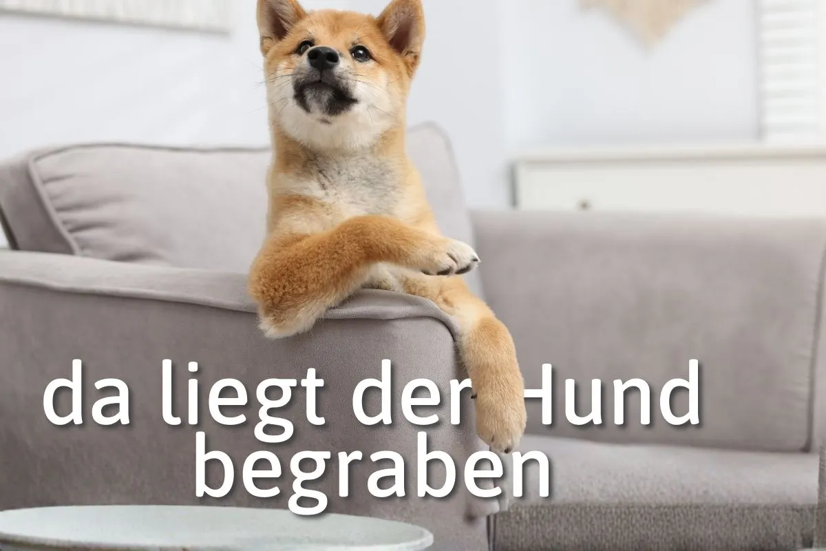 German Expression of the Day: Da liegt der Hund begraben